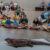 Creature Teacher summer program – 2026