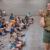 Creature Teacher summer program – 2026