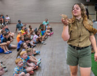 Local kids get glimpse of the wild during Creature Teacher program for Breckenridge Library, Fine Arts Center