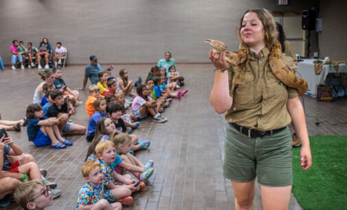 Local kids get glimpse of the wild during Creature Teacher program for Breckenridge Library, Fine Arts Center