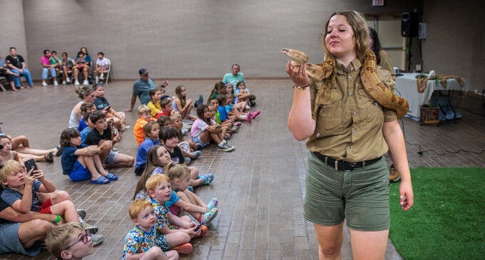 Local kids get glimpse of the wild during Creature Teacher program for Breckenridge Library, Fine Arts Center