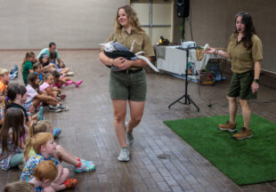 Creature Teacher summer program – 2026