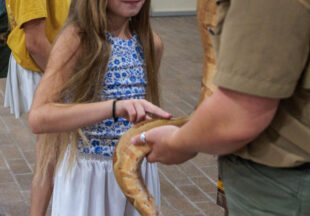 Creature Teacher summer program – 2026
