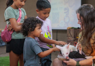 Creature Teacher summer program – 2026
