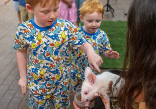 Creature Teacher summer program – 2026