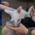 Creature Teacher summer program – 2026