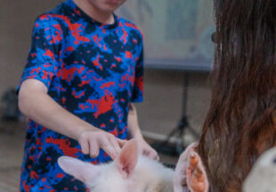 Creature Teacher summer program – 2026