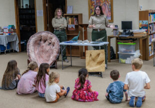 Dinosaurs at the Breckenridge Library