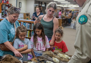 Dinosaurs at the Breckenridge Library