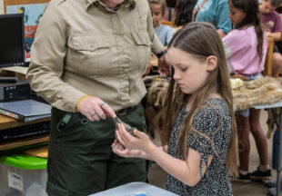 Dinosaurs at the Breckenridge Library