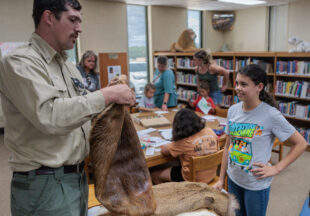 Dinosaurs at the Breckenridge Library