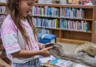Dinosaurs at the Breckenridge Library