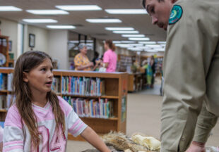 Dinosaurs at the Breckenridge Library