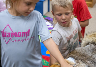 Dinosaurs at the Breckenridge Library