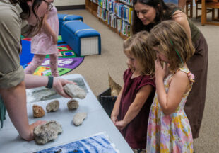 Dinosaurs at the Breckenridge Library