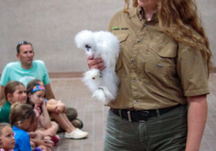 Creature Teacher summer program – 2026