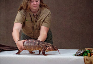 Creature Teacher summer program – 2026