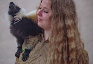 Creature Teacher summer program – 2026