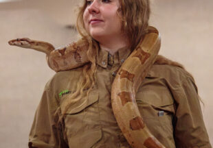 Creature Teacher summer program – 2026