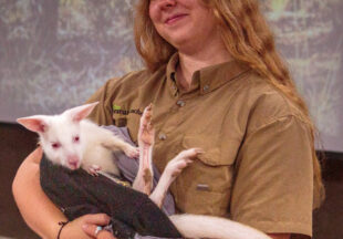 Creature Teacher summer program – 2026