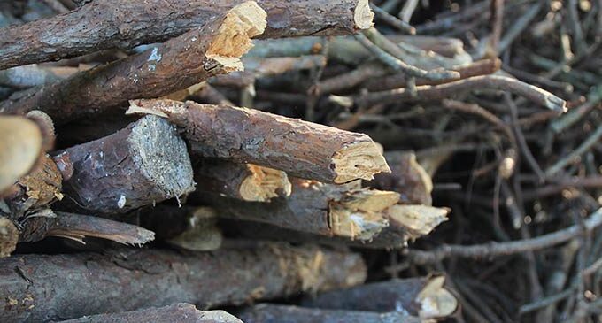 City of Breckenridge, Stephens County offer storm debris disposal options following weekend storms