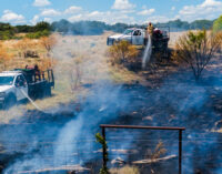 Wildfire burns dozens of acres on Highway 67; local firefighters, Forest Service on scene
