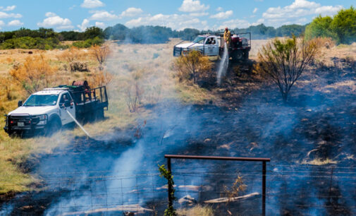 Wildfire burns dozens of acres on Highway 67; local firefighters, Forest Service on scene