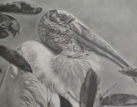 BFAC to host closing reception for juried show and opening reception for Barbara Hack exhibit on Saturday, Sept. 26