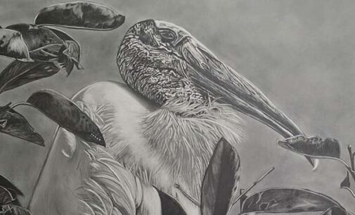 BFAC to host closing reception for juried show and opening reception for Barbara Hack exhibit on Saturday, Sept. 26