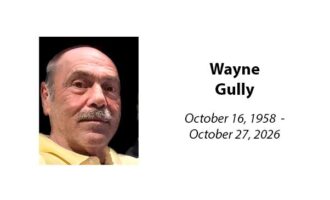 Wayne Gully