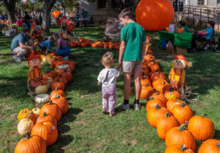 Giant Pumpkin Weigh Off and 4-H Market 2026