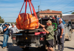 Giant Pumpkin Weigh Off and 4-H Market 2026