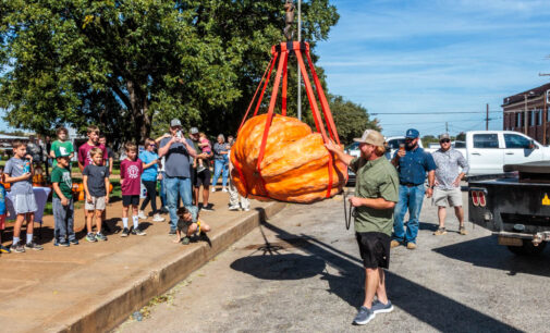 Ryan Ethridge grows state champion pumpkin in Stephens County