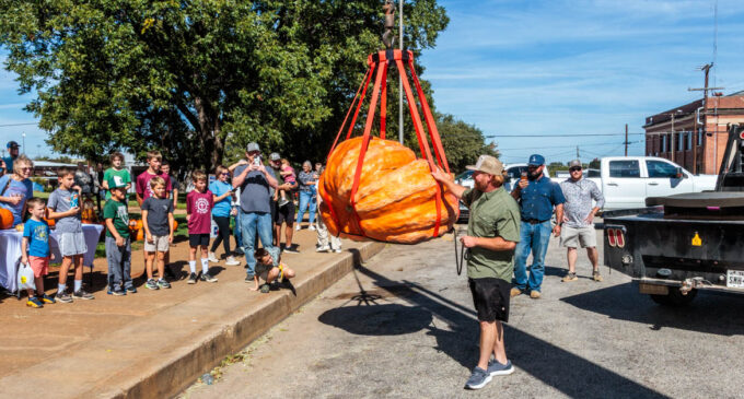 Ryan Ethridge grows state champion pumpkin in Stephens County
