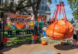 Giant Pumpkin Weigh Off and 4-H Market 2026