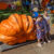 Giant Pumpkin Weigh Off and 4-H Market 2026