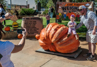 Giant Pumpkin Weigh Off and 4-H Market 2026